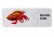 cdc1f580528de0bb09c3364daf202c65