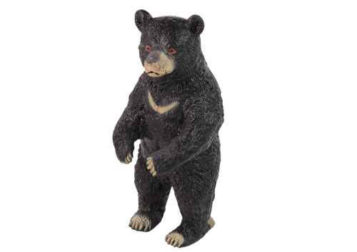 b9cbac0186bcb263177a78251e877f64