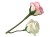 71f6aaef7a20c5b7c596a1e8b5726af6