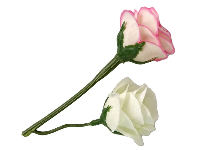 71f6aaef7a20c5b7c596a1e8b5726af6