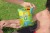 a54aa1688a6bb92e0f667cfd07bce06d