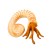 c6cf66d85abf5a6a383eab9620365ed9